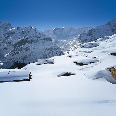 Holiday Home Chalet Ahornen By Interhome Grindelwald Exterior foto
